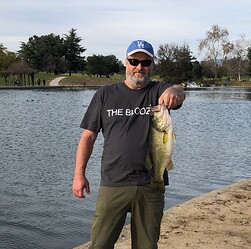 balboa-bass