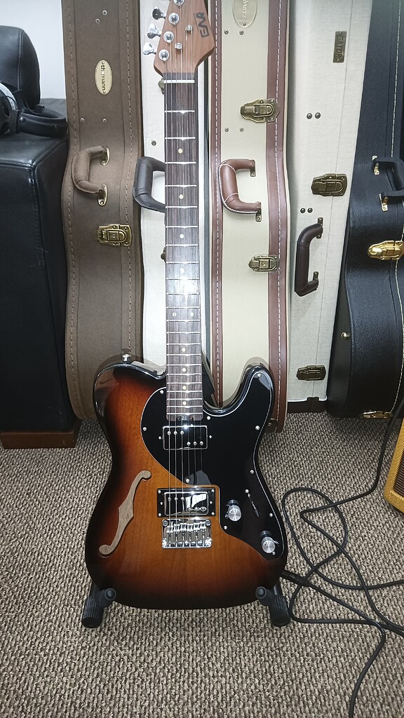 EART シンラインテレキャスター サーフグリーン E-TT72 Amazon.com: EART E-TT72 6 String Semi-Hollow-Body Electric