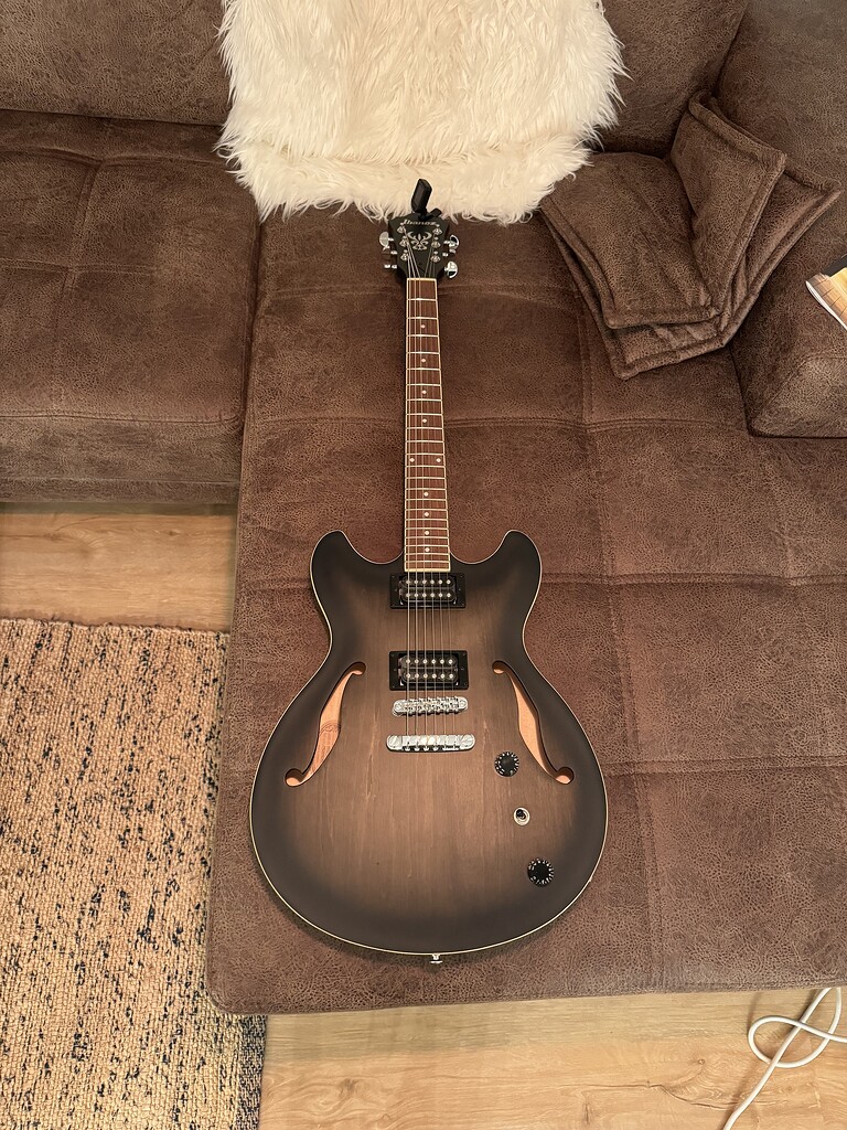 ★Electronic Art Dept. / Es Geht Voran Ibanez Artcore AS73FM Semi-hollow Electric Guitar - Azure